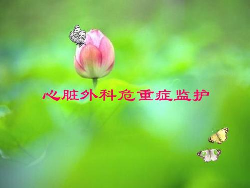 心脏外科术后监护