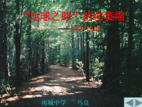 第三课“地球之肺”持续萎缩——森林锐减