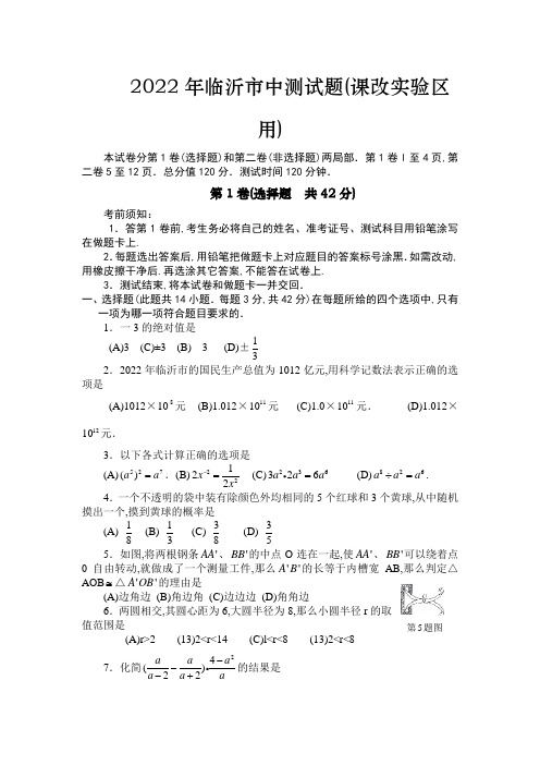 浙江临沂市中考数学试题及答案(实验区)