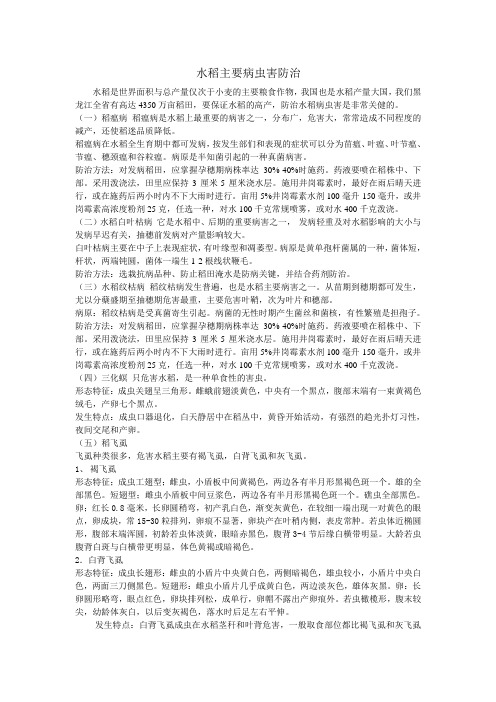 水稻主要病虫害防治