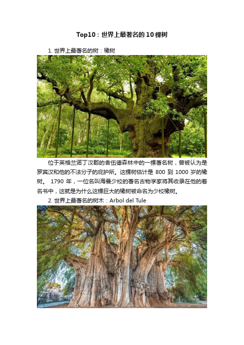 Top10：世界上最著名的10棵树