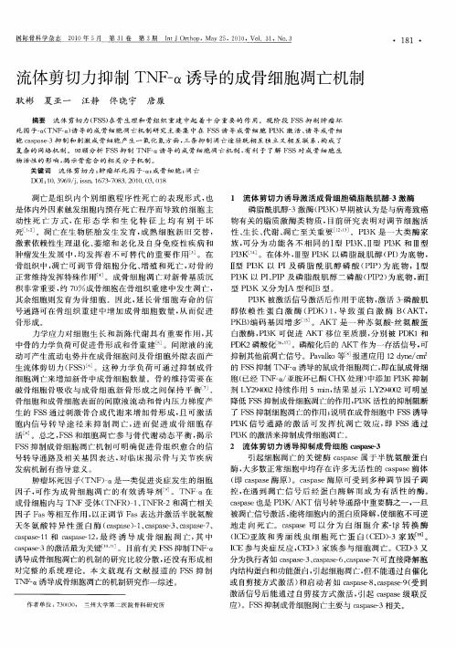 流体剪切力抑制TNF-α诱导的成骨细胞凋亡机制