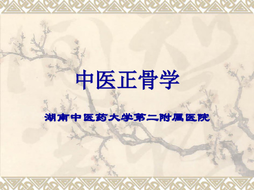 中医正骨学