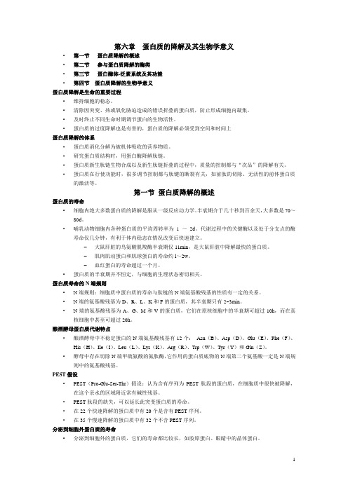 蛋白质的降解