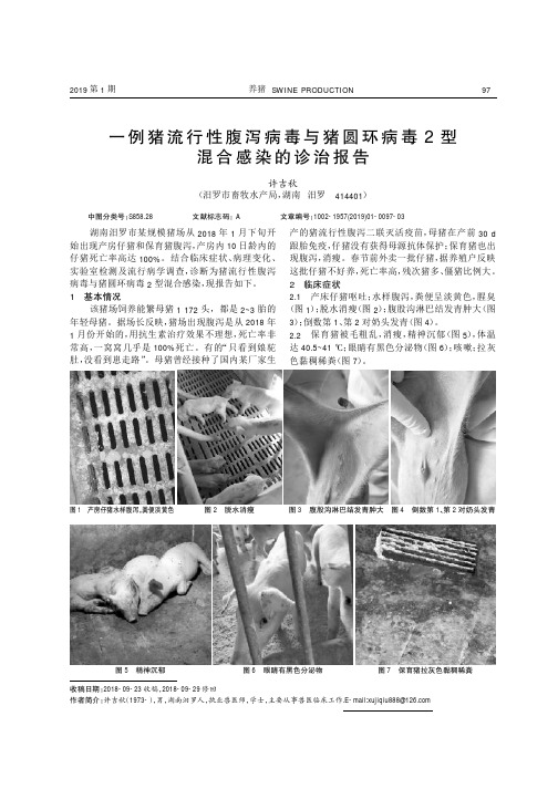 一例猪流行性腹泻病毒与猪圆环病毒2型混合感染的诊治报告