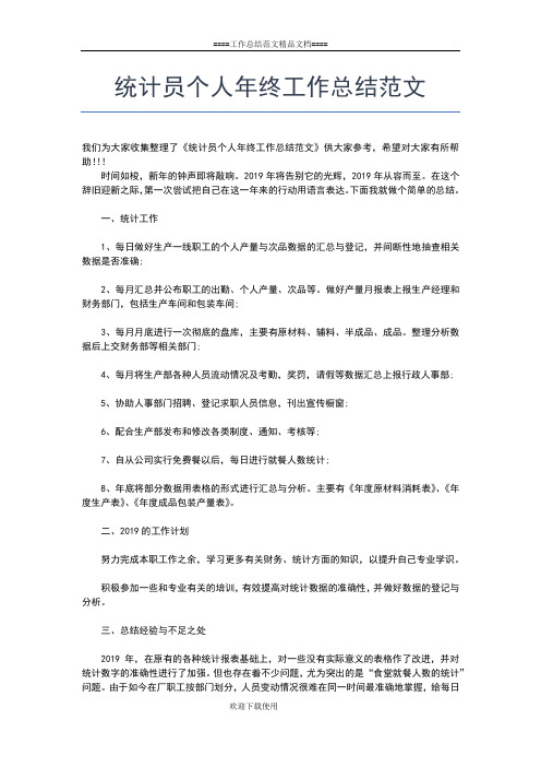 2019年最新统计员个人年度总结范文工作总结文档【七篇】