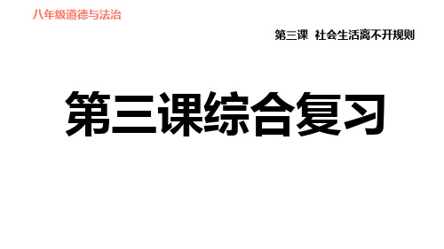 八年级上册道德与法治第三课综合复习