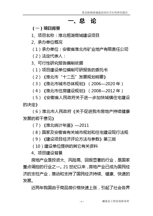 桓湖商城项目建设投资可行性研究报告