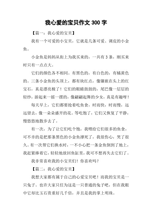 我心爱的宝贝作文300字