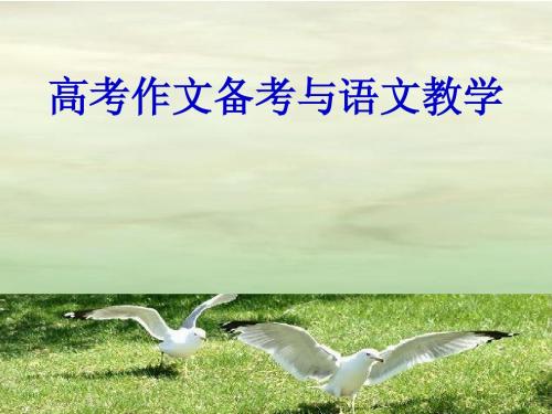 高考作文备考冲刺(陈妙云)