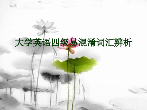 大学英语四级CET4 近义词辨析