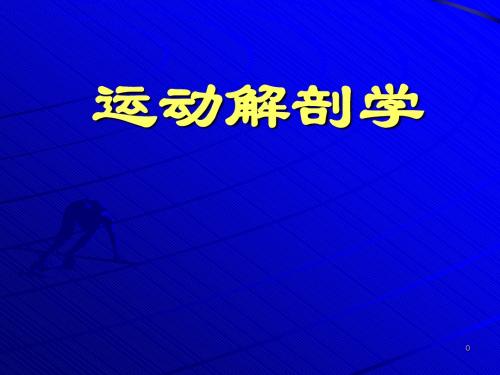 运动系统 骨各论