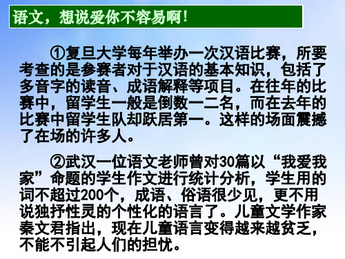 语文的魅力(实用).ppt