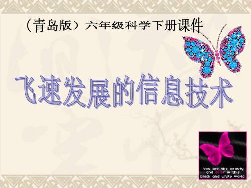 六年级科学下册 飞速发展的信息技术1课件 青岛版
