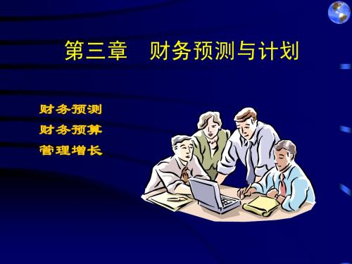 3 财务预测与计划