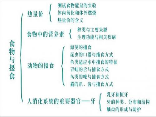 科学九年级上册第四章《代谢与平衡》