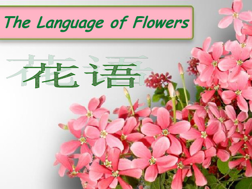 花语英文发言