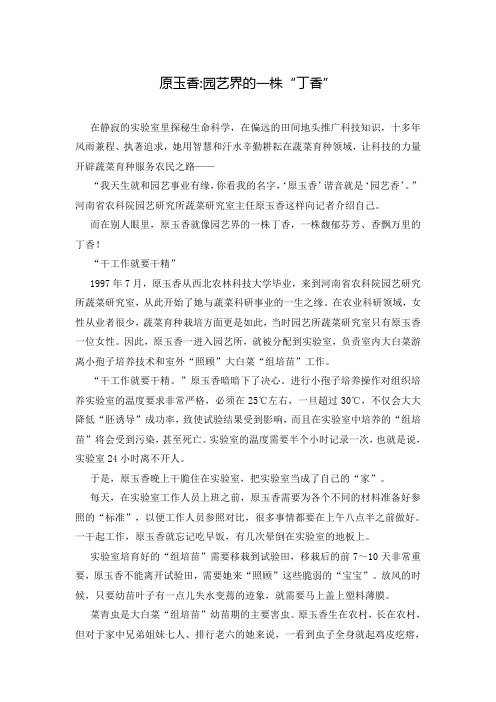 原玉香-园艺界的一株“丁香”