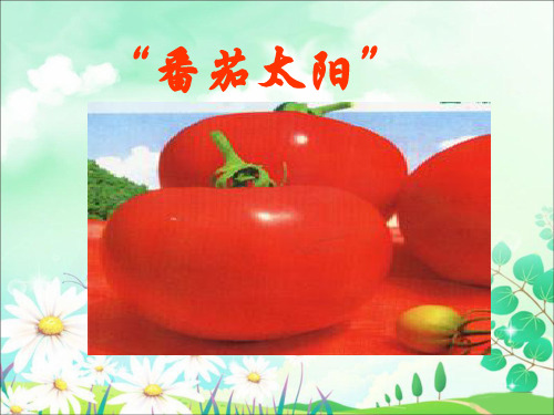 《“番茄太阳”》2PPT课件