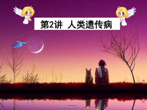 人类遗传病高三复习课件-精品文档