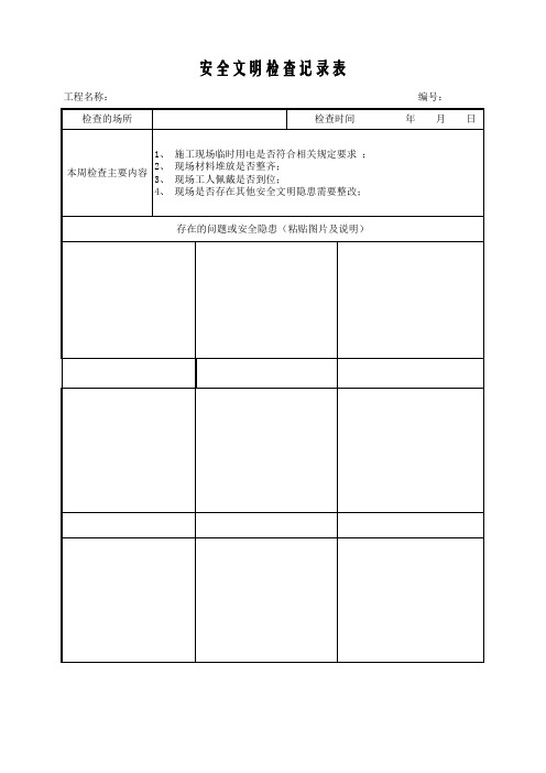 安全文明检查记录表