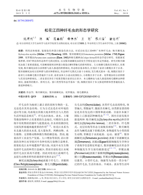松花江四种纤毛虫的形态学研究