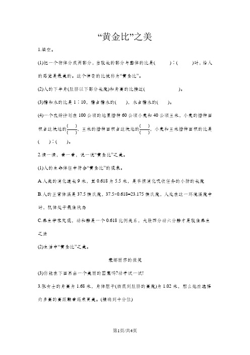 六年级上册数学一课一练 “黄金比”之美   青岛版(含答案)