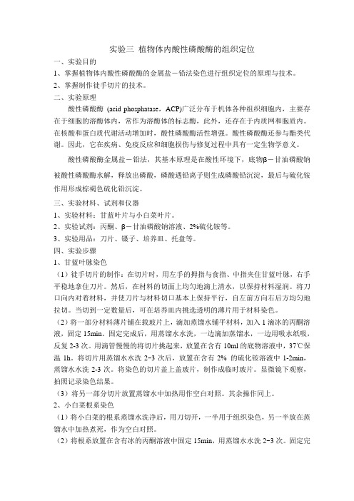 实验三+酸性磷酸酶的组织器官定位