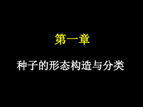 种子学种子的形态构造与分类