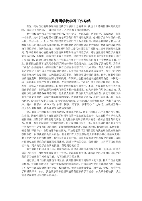 共青团工作学习总结-南京工业大学