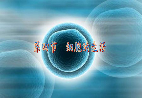 第四节  细胞的生活PPT课件