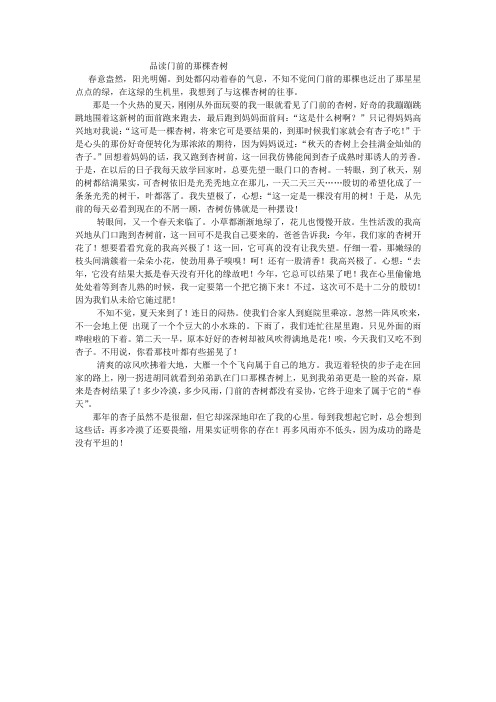 品读门前的那棵杏树