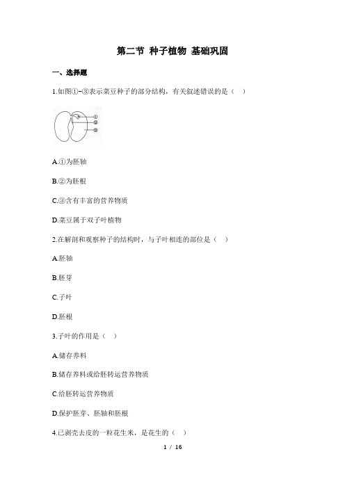 人教版生物七年级上册3.1.2《种子植物》同步练(含解析)