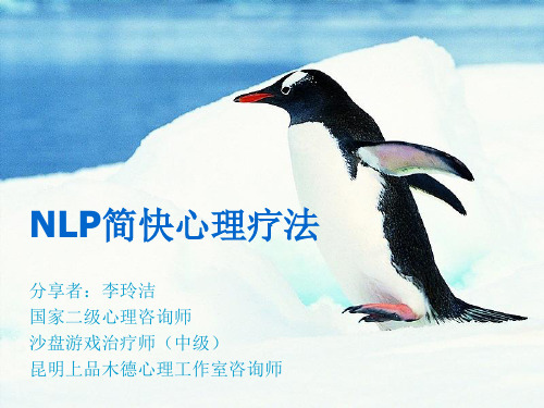 NLP简快心理疗法(第一课)2