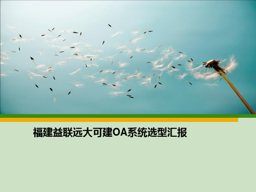 益联远大集团OA系统选型汇报1