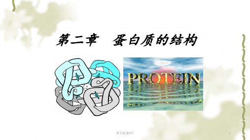 生物化学 蛋白质的结构课课件