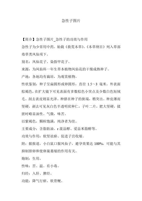 急性子图片