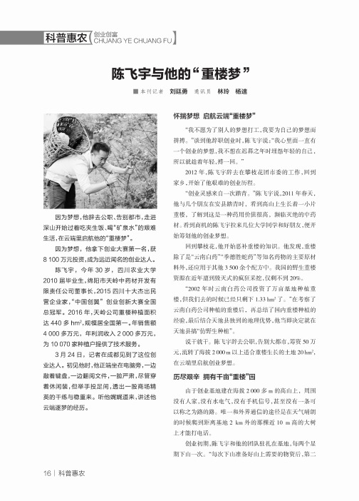 陈飞宇与他的“重楼梦”