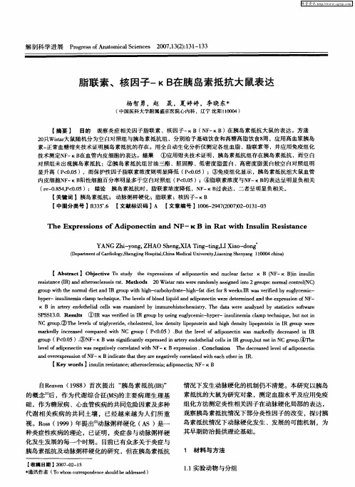 脂联素、核因子-kB在胰岛素抵抗大鼠表达