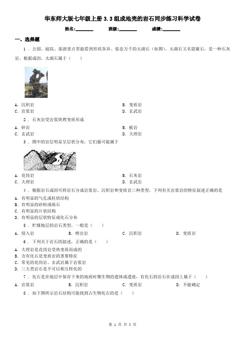 华东师大版七年级上册3.3组成地壳的岩石同步练习科学试卷