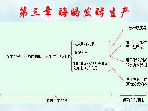 第三章 酶的发酵生产