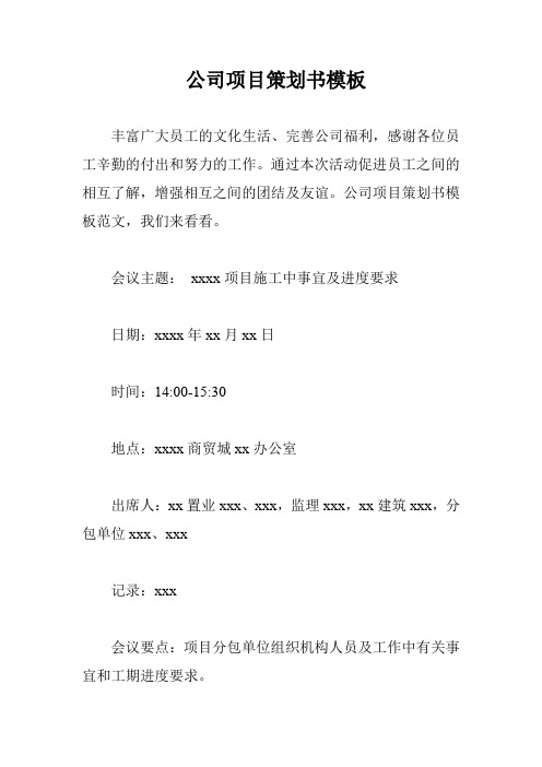 公司项目策划书模板