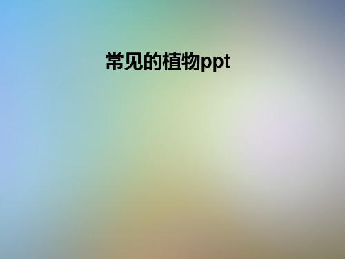 常见的植物ppt