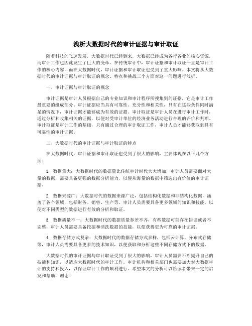 浅析大数据时代的审计证据与审计取证