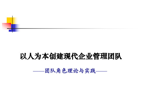 团队角色理论与实践
