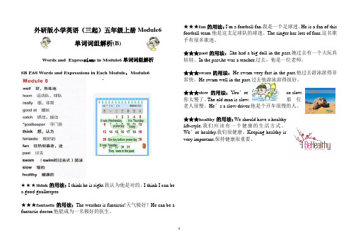外研版小学英语(三起)五年级上册Module6单词词组解析(B)