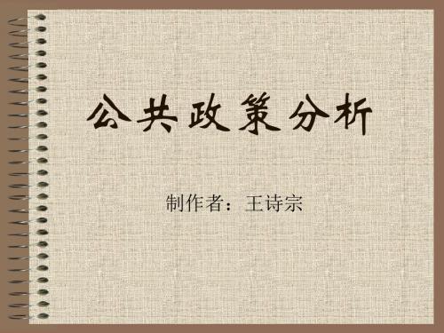 浙江大学《公共政策分析》课件——王诗宗老师