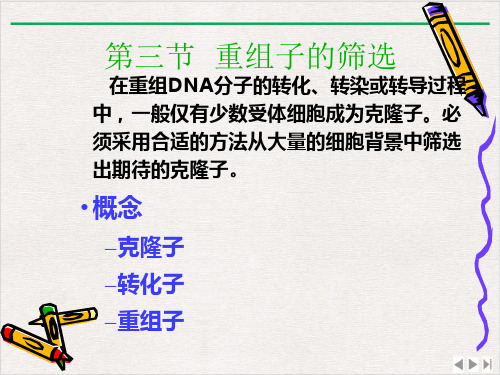 目的基因导入受体细胞ppt课件