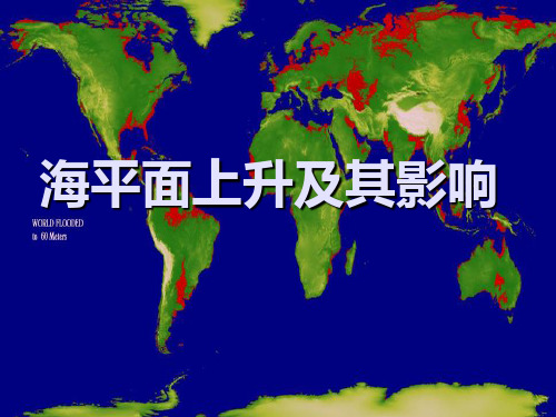 海平面上升及其危害 ppt课件
