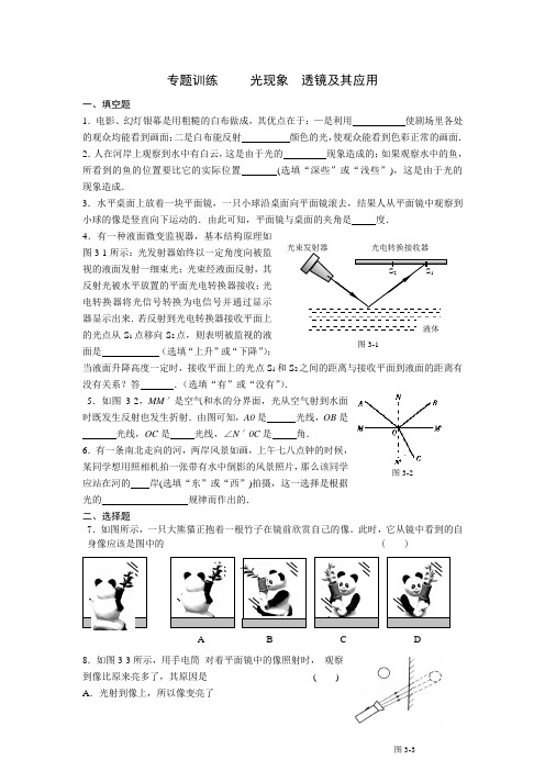 专题训练     光现象  透镜及其应用